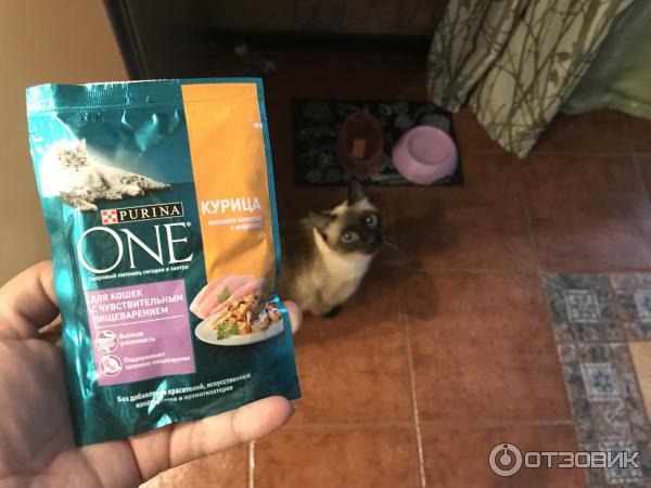 Влажный корм Purina ONE для кошек с чувствительным пищеварением с курицей и морковью фото