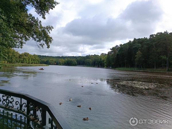 Достопримечательности Светлогорска (Россия, Калининградская область)