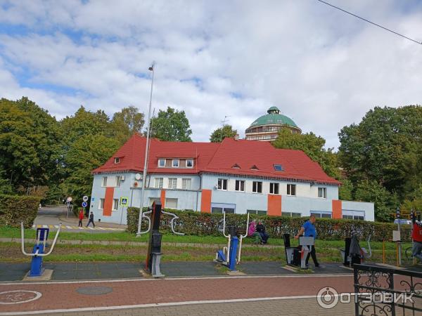 Достопримечательности Светлогорска (Россия, Калининградская область)