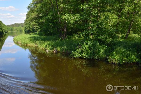 Экскурсия по Августовскому каналу (Беларусь, Гродненская область) фото