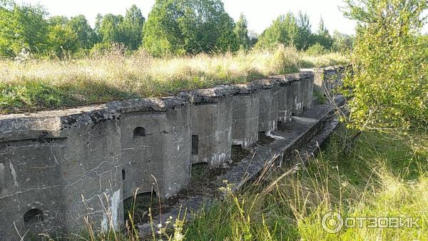 Гродненская крепость (Беларусь, Гродненская область) фото