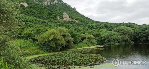 Экскурсия на гору Бештау (Россия, Железноводск) фото