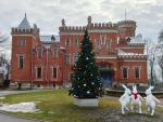 Замок принцессы Ольденбургской (Россия, Рамонь) фото