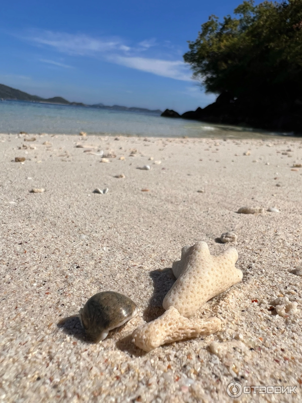 Экскурсия на острова Coral Island и Raya (Таиланд, Пхукет) фото