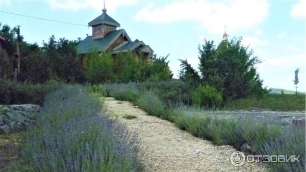 Монастырь Святого Преподобного Лазаря Муромского (Крым, Скалистое) фото