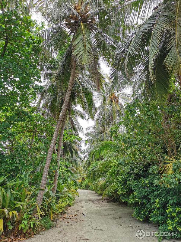 Отель Hondaafushi Island Resort 4* (Мальдивы) фото