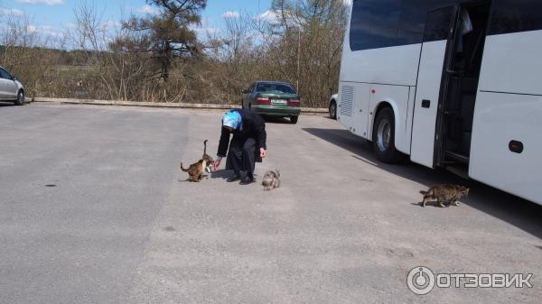 Мужской монастырь Спаса Нерукотворного пустынь (Россия, Клыково) фото