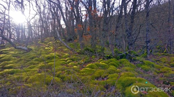 Гора Аю-Даг / Медведь-гора (Крым) фото