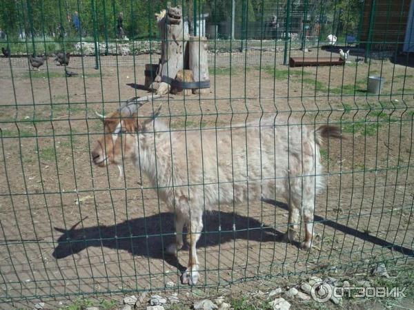 Парк культуры и отдыха имени Комсомольцев-добровольцев (Россия, Камышин) фото