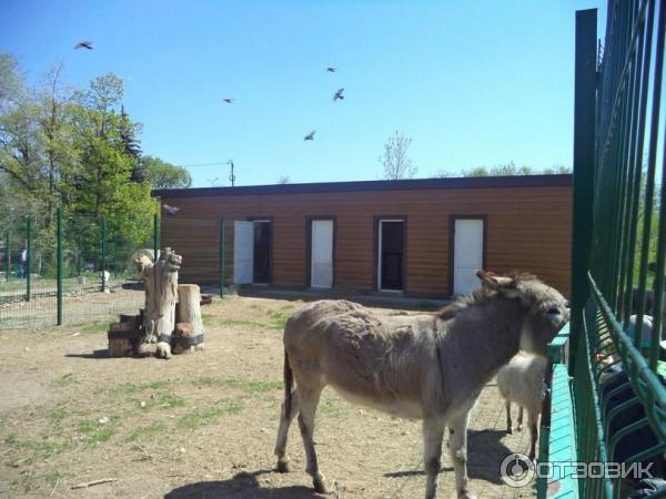 Парк культуры и отдыха имени Комсомольцев-добровольцев (Россия, Камышин) фото