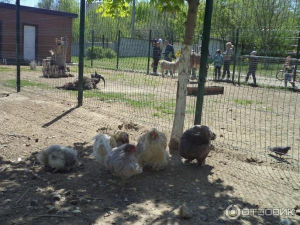 Парк культуры и отдыха имени Комсомольцев-добровольцев (Россия, Камышин) фото