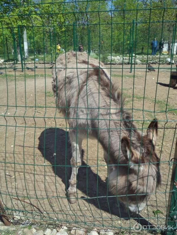 Парк культуры и отдыха имени Комсомольцев-добровольцев (Россия, Камышин) фото