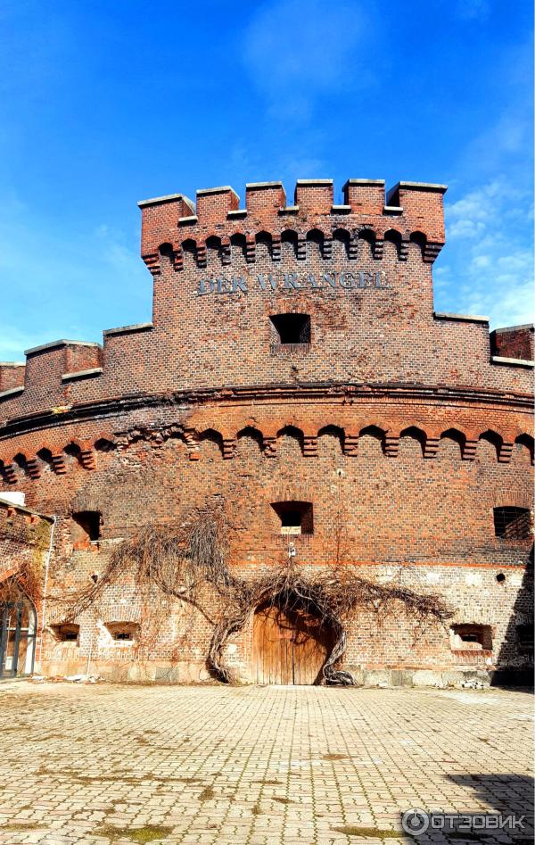 Отдых в Калининграде (Россия, Калининградская область) фото