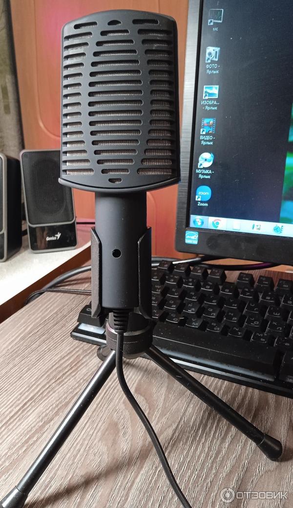 Микрофон Ritmix RDM-125 фото