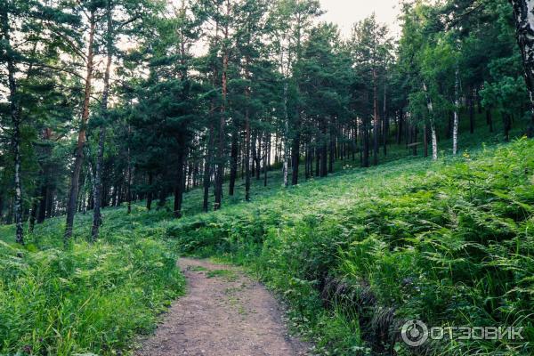 Пещера Караульная (Россия, Красноярск) фото