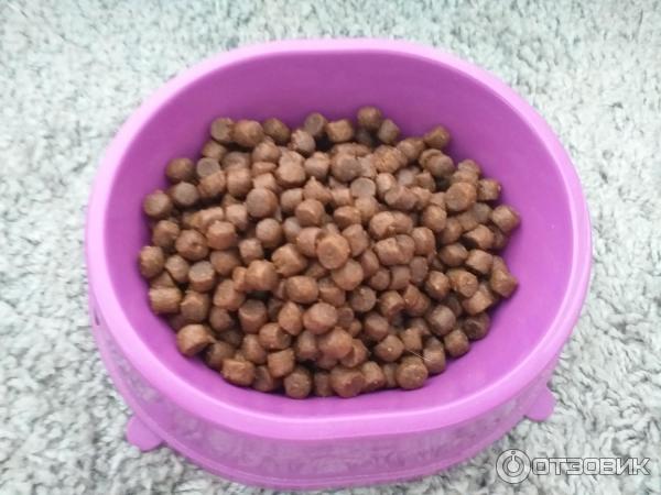 Сухой полнорационный корм для привередливых кошек и котят AJO с индейкой фото