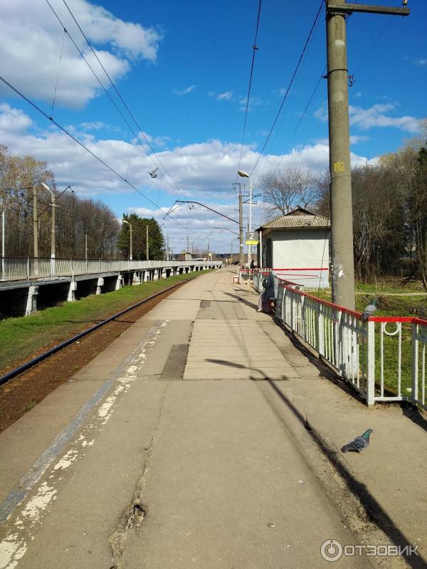 Платформа Новопетровская Московской железной дороги (Россия, Истра) фото