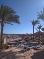 Отель Tamra Baech Resort 4* (Египет, Шарм-эль-Шейх) фото