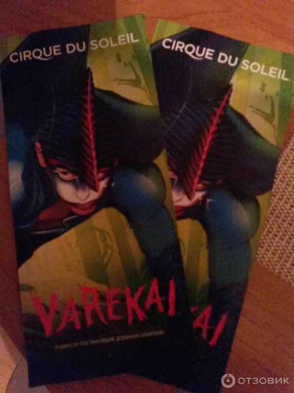 Цирковое шоу Varekai Cirque Du Soleil (Россия, Москва) фото