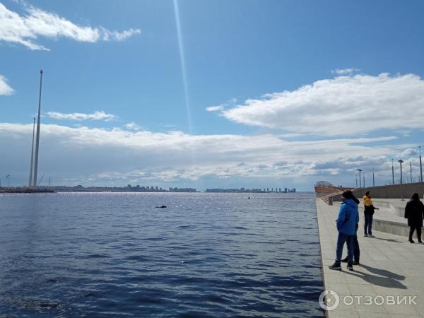 Восточный парк (Россия, Санкт-Петербург) фото