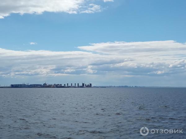 Восточный парк (Россия, Санкт-Петербург) фото