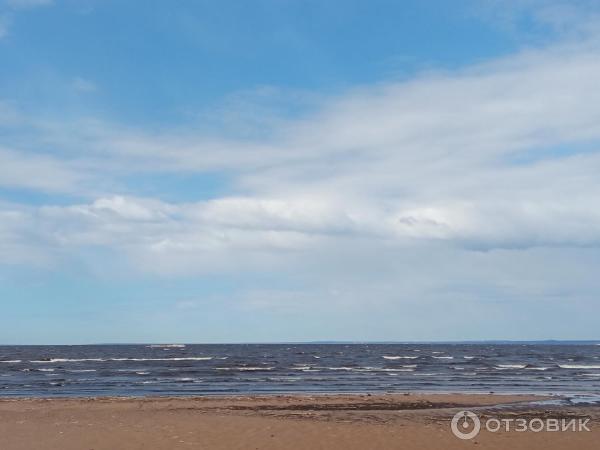 Восточный парк (Россия, Санкт-Петербург) фото