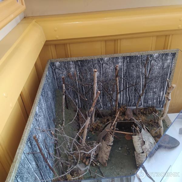 Музей КБЖД в Порте Байкал (Россия, Иркутская область) фото