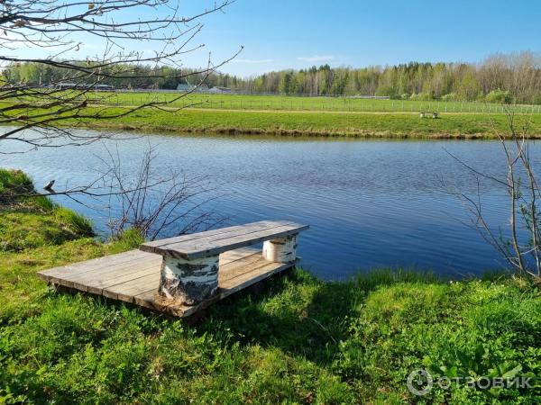 Усадьба Марьино (Россия, Ленинградская область) фото