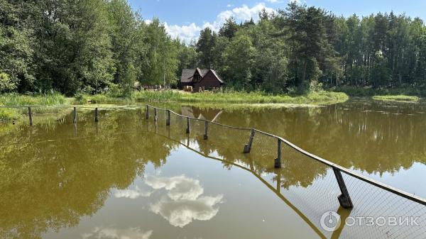 Пансионат ЛОДЭ (Беларусь, Витебская область) фото