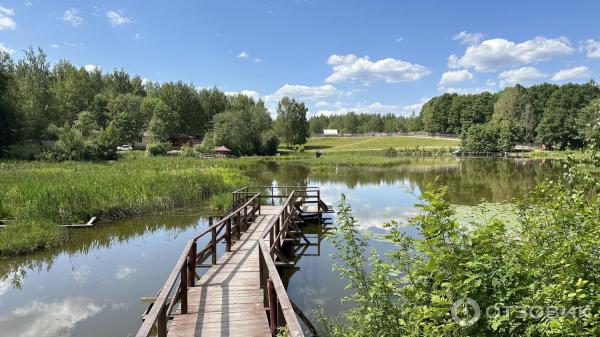 Пансионат ЛОДЭ (Беларусь, Витебская область) фото