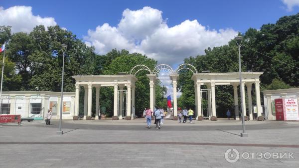 Выставка декоративных крыс и других мелких домашних животных Усатые звезды (Россия, Москва) фото