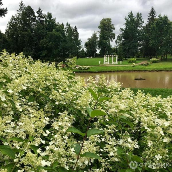 Усадьба Марьино (Россия, Ленинградская область) фото