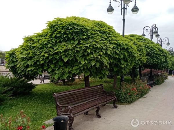 Сквер им. Гейдара Алиева (Россия, Астрахань) фото