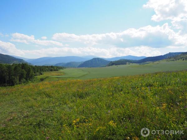 Горный Чарыш (Россия, Алтайский край, Чарышский район) фото