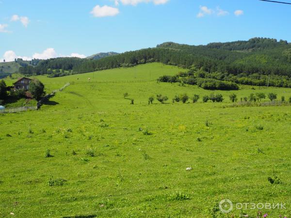 Горный Чарыш (Россия, Алтайский край, Чарышский район) фото