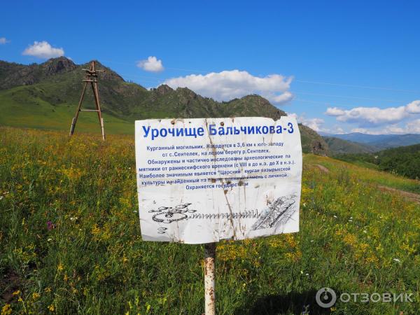 Горный Чарыш (Россия, Алтайский край, Чарышский район) фото