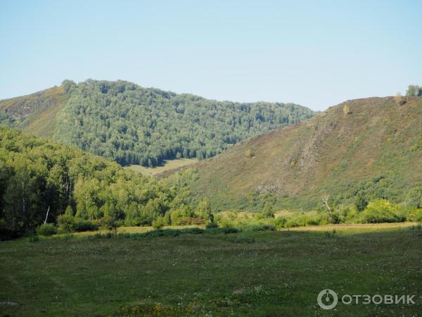 Горный Чарыш (Россия, Алтайский край, Чарышский район) фото