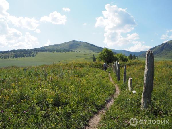 Горный Чарыш (Россия, Алтайский край, Чарышский район) фото