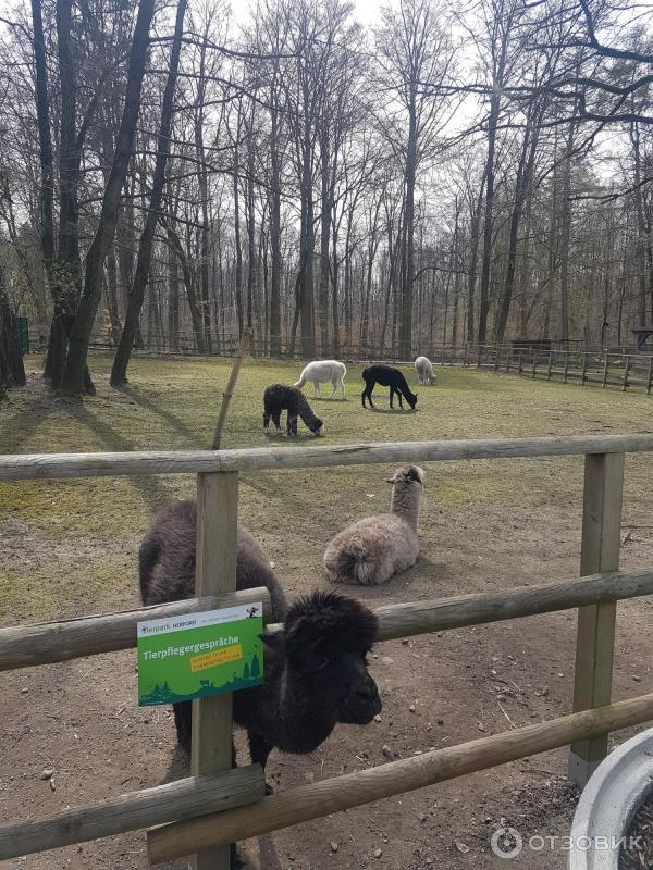 Tierpark Herford (Германия, Херфорд) фото