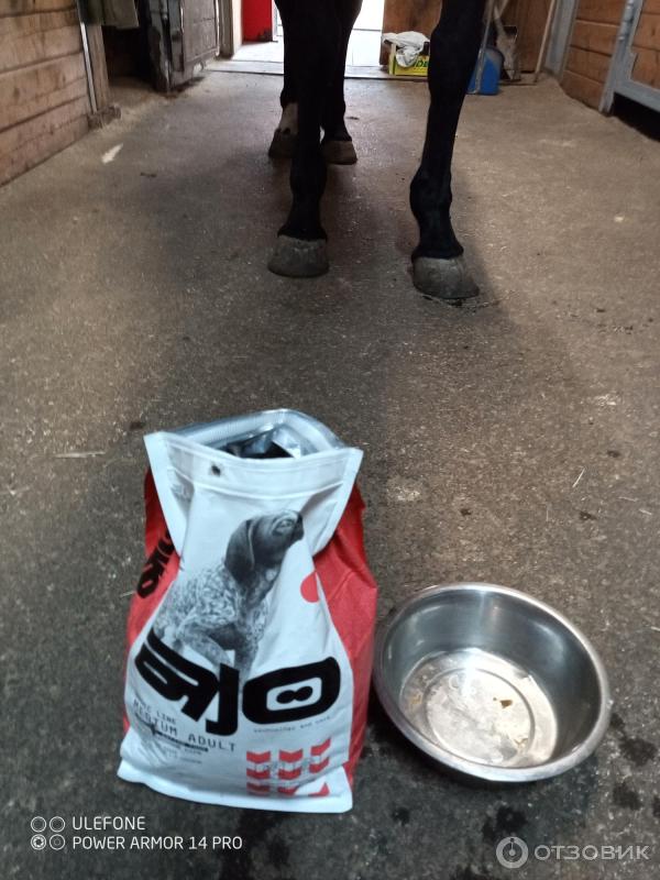 Сухой полнорационный корм для взрослых собак средних пород AJO Dog Medium Adult с гречкой фото