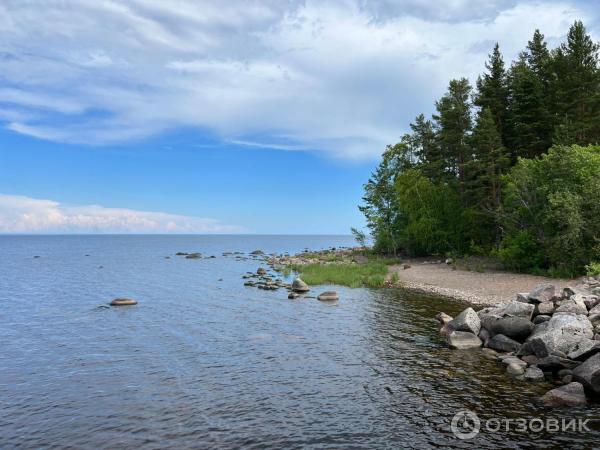 Парк-отель Капитан Морган (Россия, Ленинградская область) фото