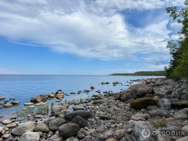 Парк-отель Капитан Морган (Россия, Ленинградская область) фото