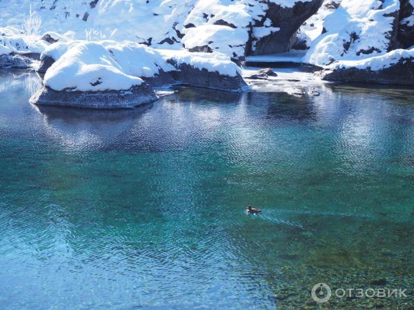 Голубые озера (Россия, Алтай) фото