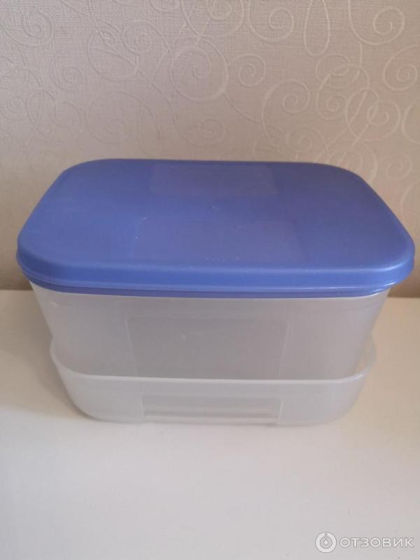 Контейнер Tupperware Умный холодильник фото