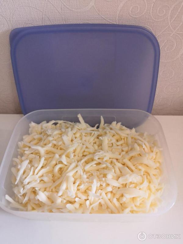 Контейнер Tupperware Умный холодильник фото