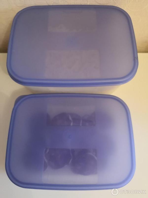 Контейнер Tupperware Умный холодильник фото