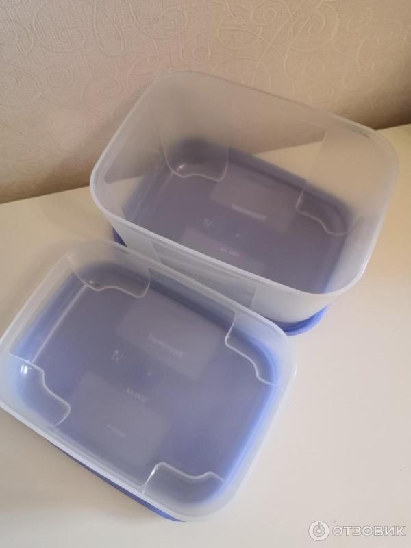 Контейнер Tupperware Умный холодильник фото