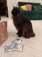 Корм для кошек Superpet фото
