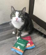 Корм для кошек Superpet фото