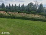 Замок принцессы Ольденбургской (Россия, Рамонь) фото